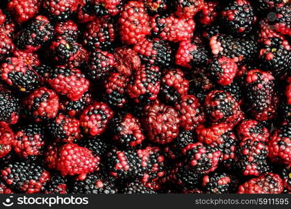 Lots of berries arranged at the background