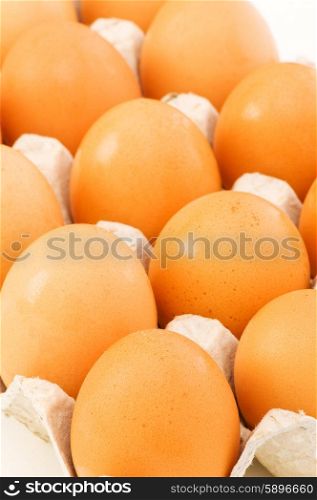 Lots of eggs in the carton