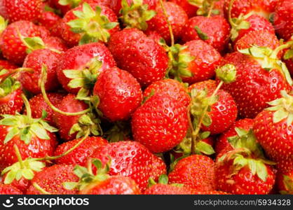 Lots of strawberries arranged as the background