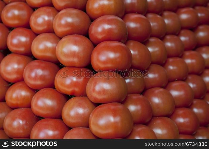 Lots Of Tomato Arranged As The Background