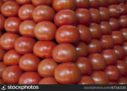 Lots Of Tomato Arranged As The Background