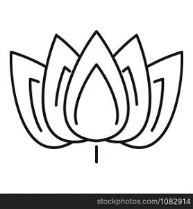 Lotus icon. Outline lotus vector icon for web design isolated on white background. Lotus icon, outline style