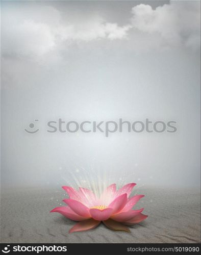Lotus in desert