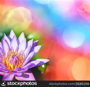 lotus on abstract background