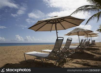 Lounge chairs under sunshades on the beach