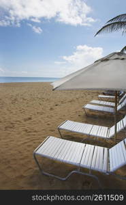 Lounge chairs under sunshades on the beach