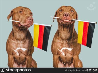 Lovable, pretty dog and German Flag. Closeup, indoors. Photo collage. Congratulations for family, loved ones, relatives, friends and colleagues. Pet care concept. Lovable, pretty dog and German Flag. Closeup
