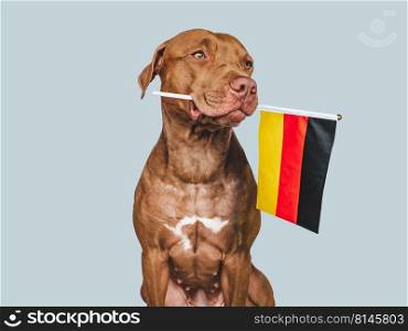 Lovable, pretty dog and German Flag. Closeup, indoors. Studio photo. Congratulations for family, loved ones, relatives, friends and colleagues. Pets care concept. Lovable, pretty dog and German Flag. Closeup