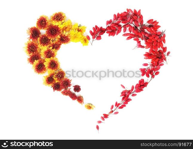 Love Autumn: Yellow and Burgundy Chrysanthemums and Red fruits of Barberry Lined in the Shape of Heart at the White Background