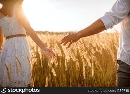 Love couple hold hands, walking in a rye field on sunset. Cute family on summer meadow, happy relationships. Love couple hold hands in a rye field on sunset
