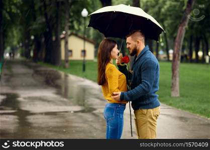 Love couple with umbrella hugs in summer park in rainy day. Man and woman with rose on walking path in rain, wet weather in alley. Love couple with umbrella hugs in park, rainy day