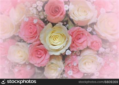 love flower, pink and white rose for valentine day