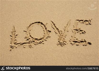 love on the wet sand at the beach
