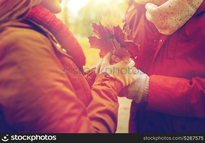 love, relationships, season and people concept - close up of happy couple with autumn maple leaves. close up of happy couple with autumn maple leaves