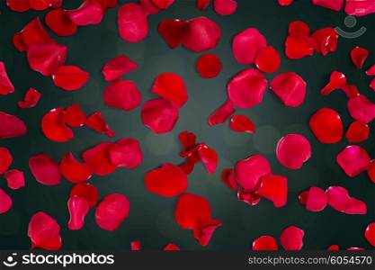 love, romance, valentines day and holidays concept - close up of red rose petals over dark background