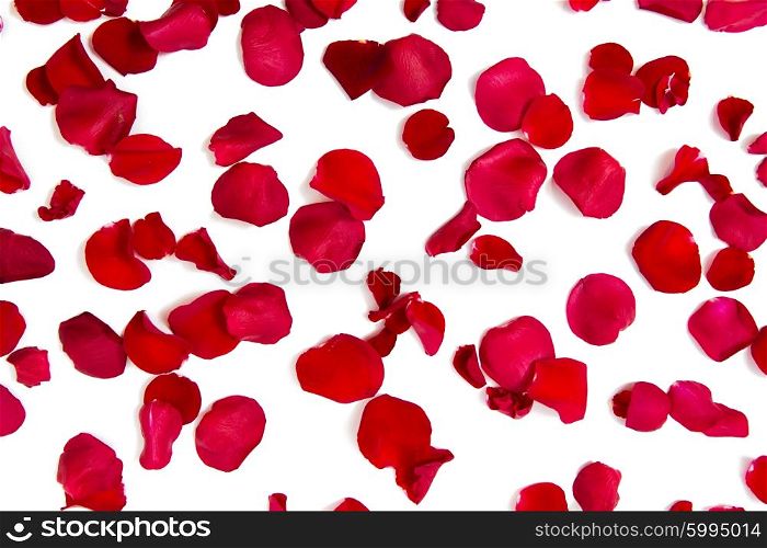 love, romance, valentines day and holidays concept - close up of red rose petals