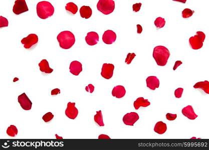 love, romance, valentines day and holidays concept - close up of red rose petals