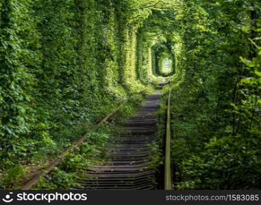 Love Tunnel (Railway section located in forest near Klevan, Ukraine. So named because before by this way girls from a nearby village and soldiers from a former military unit went on a dates).