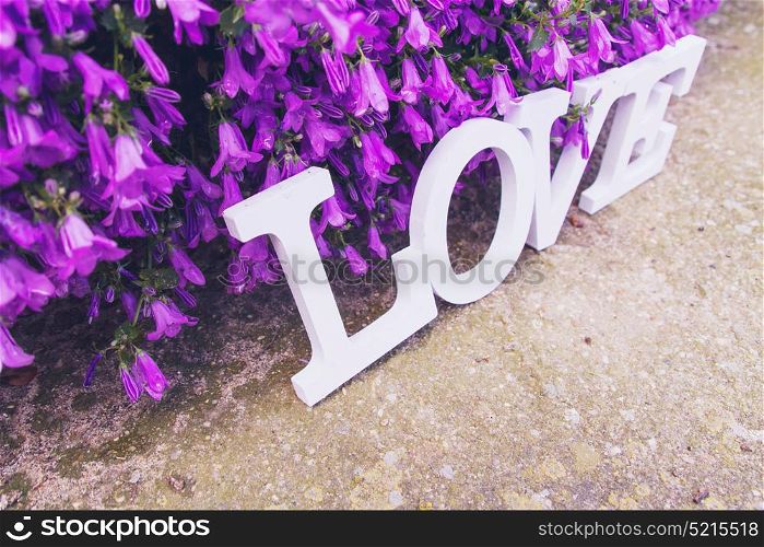 Love word in a purple floral garden