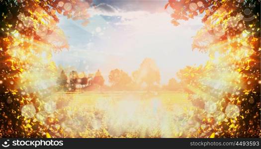 Lovely autumn nature background with trees foliage , sky, field and sun rays. Fall Country landscape