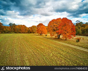 Lovely autumn rural scene. Old park with red maples trees, agriculture field and dirt country road. Fall season weather cloudy sky. Nadneman park, Belarus