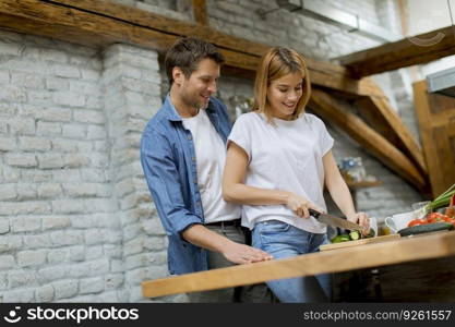 Lovely cheerful young couple cooking dinner together and having fun at rustic kitchen