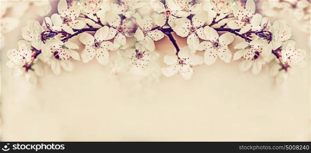 Lovely cherry blossom, springtime floral banner in pastel color