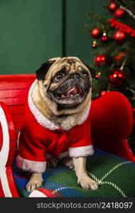 lovely dog playing santa role