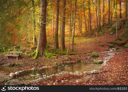 Lovely fall landscape with a wooden bench on the riverbank, surrounded by fallen autumn leaves, and colorful trees, on a sunny day of October.