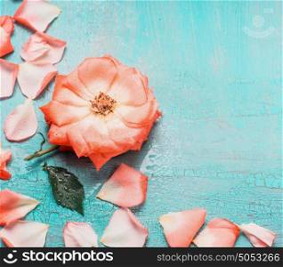 Lovely floral background with flowers and petals on turquoise blue background, top view