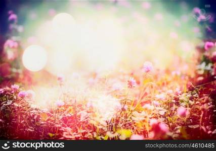 Lovely floral nature background with wild flowers on meadow and bokeh light