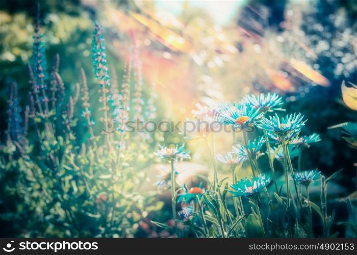 Lovely flowers garden with blooming, outdoor nature background
