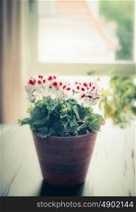 Lovely flowers pot on table at window and living room background, cozy home