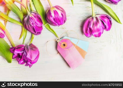 Lovely fresh tulips with empty tags on light shabby chic background, top view. Spring flowers concept.