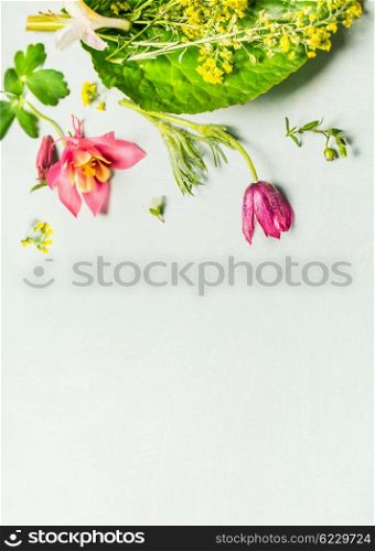 Lovely garden plant and flowers on light green background, top view, place for text