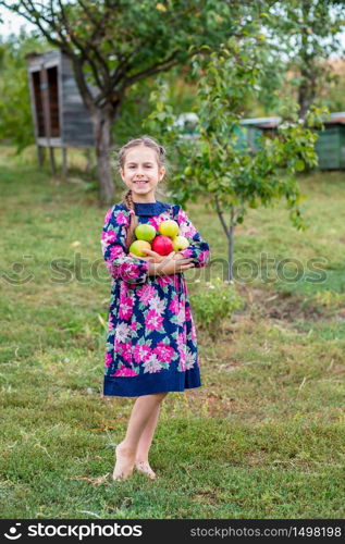 Lovely girl with apples in the hands in the garden on the farm.. Lovely girl with apples in the hands in the garden .