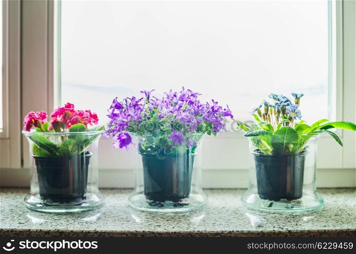 Lovely home decoration with grass flowers pots on windowsill