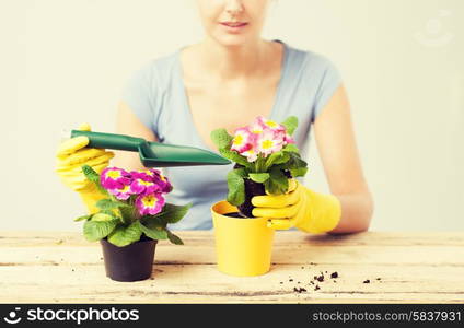 lovely housewife with flower in pot and gardening set