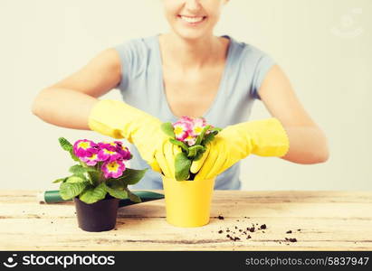 lovely housewife with flower in pot and gardening set