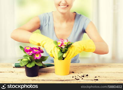 lovely housewife with flower in pot and gardening set