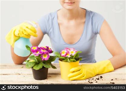 lovely housewife with flower in pot and spray bottle