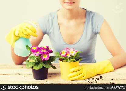 lovely housewife with flower in pot and spray bottle