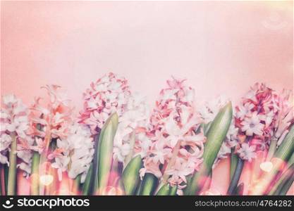 Lovely Hyacinths flowers with bokeh on pastel pink background, top view. Springtime and gardening concept