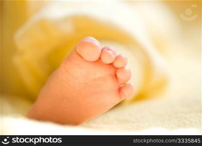 Lovely infant foot