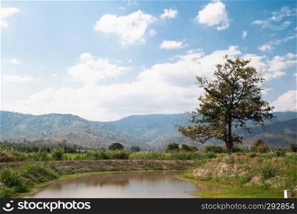 Lovely landscape of countryside hills and valleys with river in sunny day