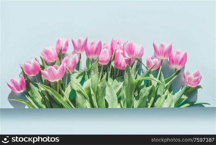 Lovely light pink tulips border. Springtime flowers arrangement . Greeting card. Copy space