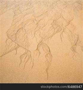 Lovely minimalist landscape image of textured detail in sand at . Lovely minimalist landscape image of texture detail in sand at low tide