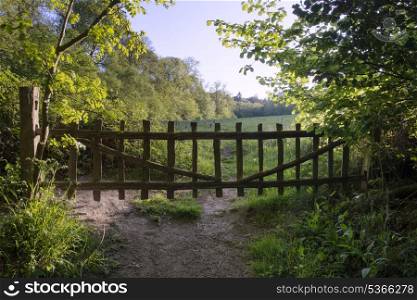 Lovely old gate into countryside field rustic old fashioned feeling. Old countryside rustic gate into Summer field