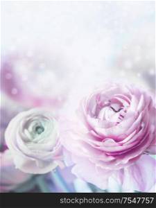 Lovely pastel flowers background. Soft focus. Close up of bloom with bokeh and petals