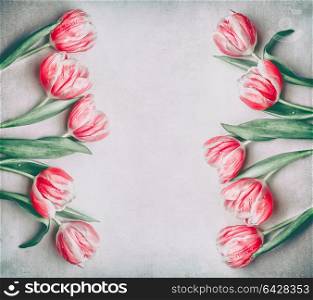 Lovely pink red tulips frame with copy space, flat lay. Layout for spring holidays greeting card